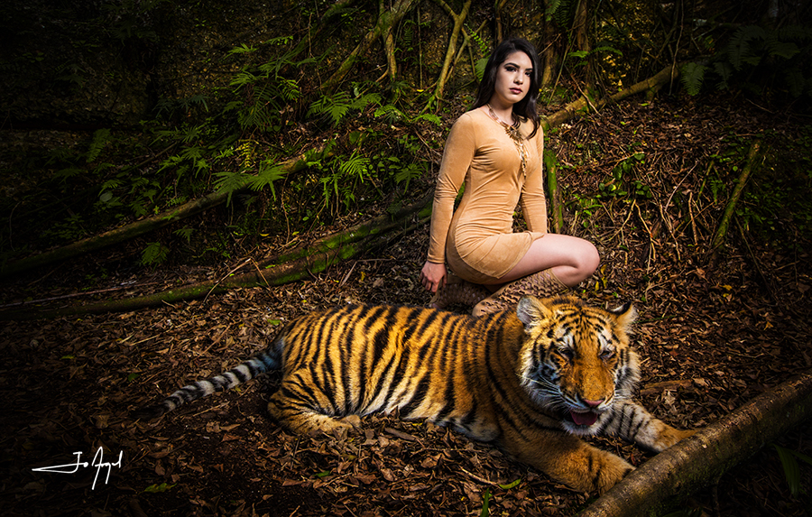 Quince-tiger-photoshoot-2